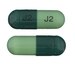 Cephalexin